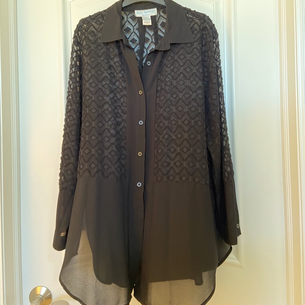 Blue Bayou Sheer tunic blouse